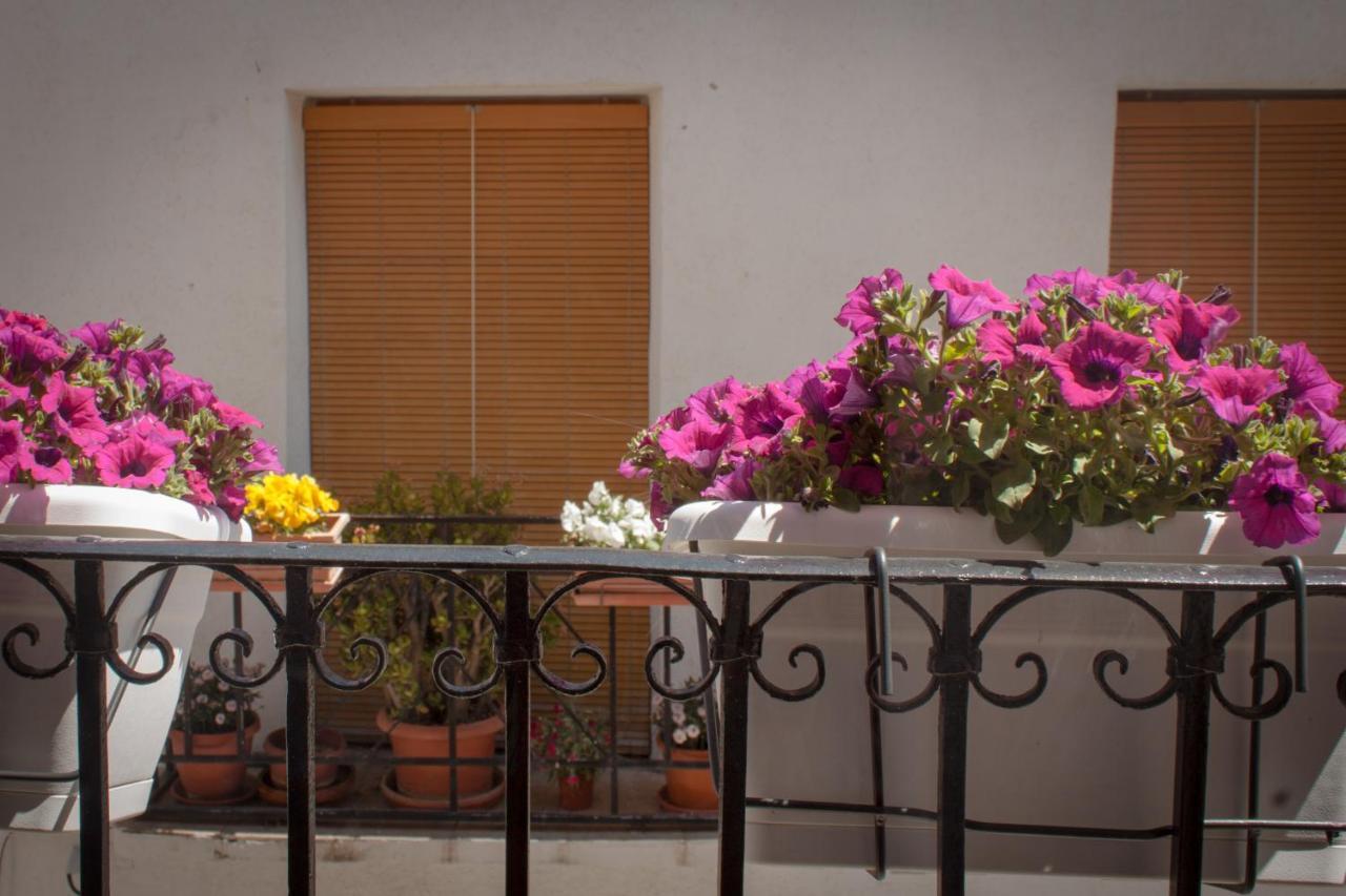Casa Amparo - Alquiler Integro Con Encanto En Alicante Alcoleja Luaran gambar